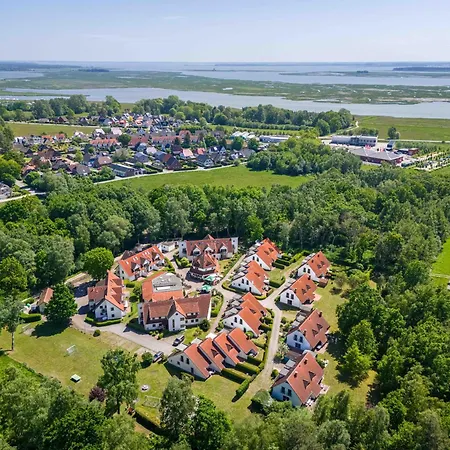 Freesenbruch 4 4 - Seeschwalbe * Zingst
